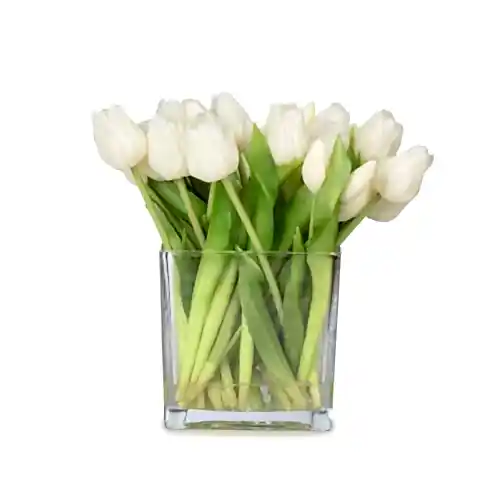 Büyük Kare Cam Vazoda Islak Dokulu Jelli Beyaz Lale Aranjman (27 CM)