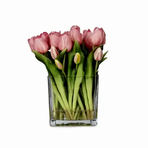 Büyük Kare Cam Vazoda Islak Dokulu Jelli Pembe Lale Aranjman (27 CM)