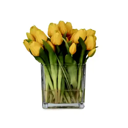 Büyük Kare Cam Vazoda Islak Dokulu Jelli Sarı Lale Aranjman (27 CM)