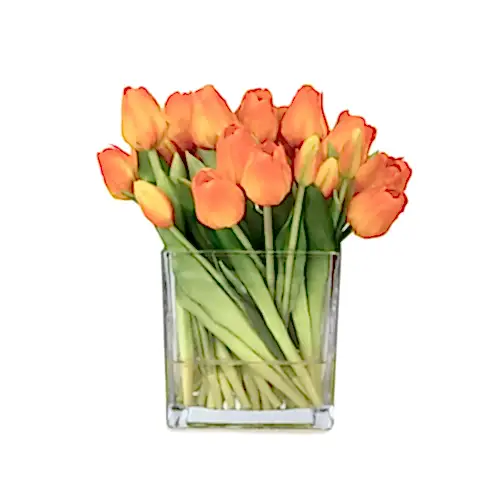 Büyük Kare Cam Vazoda Islak Dokulu Jelli Turuncu Lale Aranjman (27 CM)