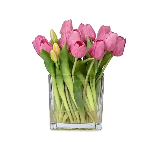 Büyük Kare Cam Vazoda Islak Dokulu Jelli Mauve Lale Aranjman (27 CM)