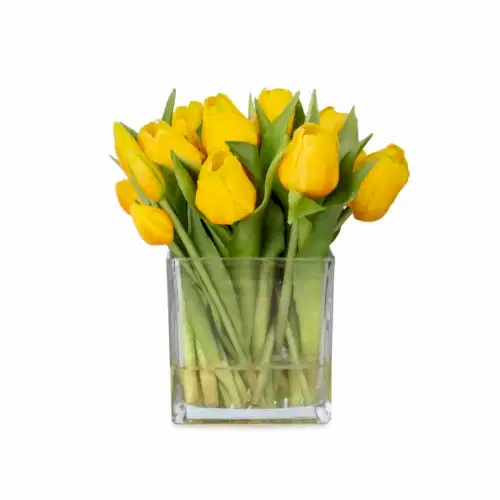 Orta Boy Kare Cam Vazoda Islak Dokulu Jelli Sarı Lale Aranjman (25 CM)