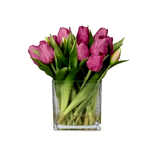 Orta Boy Kare Cam Vazoda Islak Dokulu Jelli Mauve Lale Aranjman (25 CM)