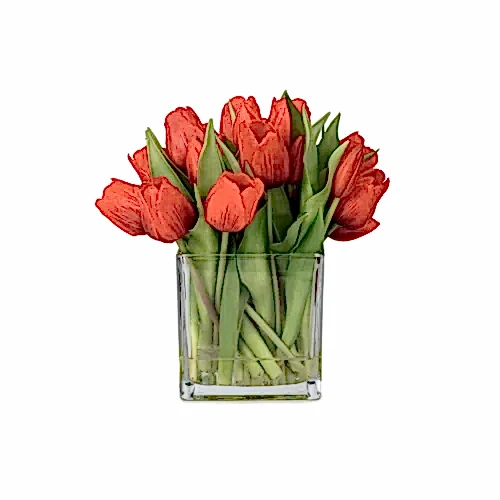 Orta Boy Kare Cam Vazoda Islak Dokulu Jelli Kırmızı Lale Aranjman (25 CM)