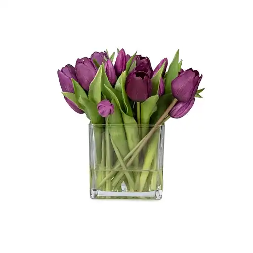 Orta Boy Kare Cam Vazoda Islak Dokulu Jelli Mor Lale Aranjman (25 CM)