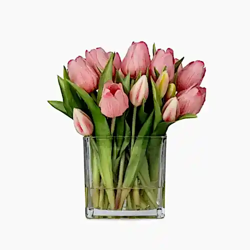 Orta Boy Kare Cam Vazoda Islak Dokulu Jelli Pembe Lale Aranjman (25 CM)