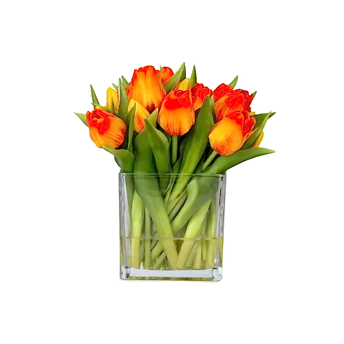 Orta Boy Kare Cam Vazoda Islak Dokulu Jelli Turuncu Lale Aranjman (25 CM)