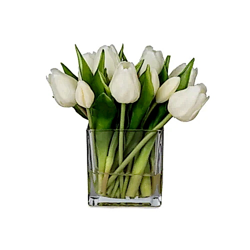 Küçük Boy Kare Cam Vazoda Islak Dokulu Jelli Beyaz Lale Aranjman (20 CM)