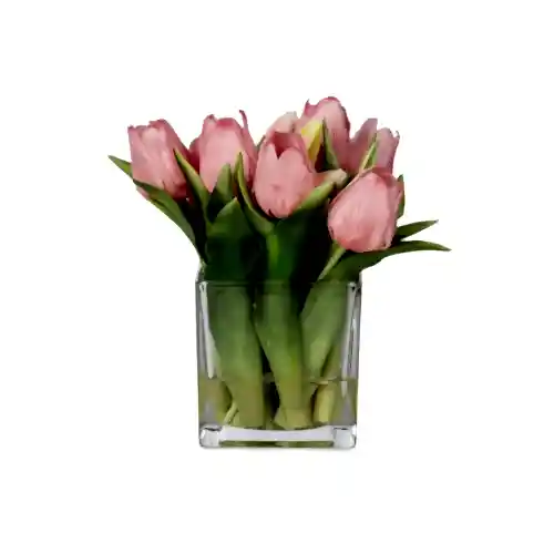 Küçük Boy Kare Cam Vazoda Islak Dokulu Jelli Pembe Lale Aranjman (20 CM)