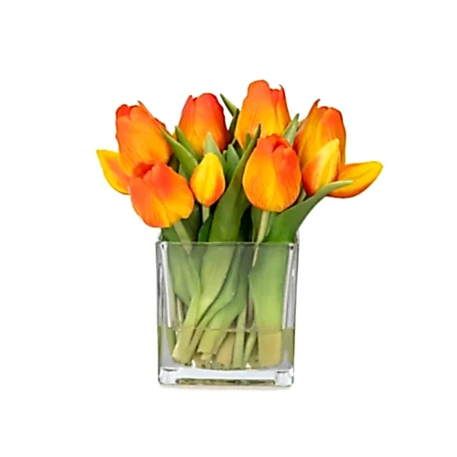 Küçük Boy Kare Cam Vazoda Islak Dokulu Jelli Turuncu Lale Aranjman (20 CM)