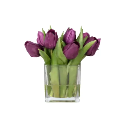 Küçük Boy Kare Cam Vazoda Islak Dokulu Jelli Mor Lale Aranjman (20 CM)