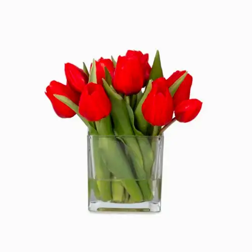Küçük Boy Kare Cam Vazoda Islak Dokulu Jelli Kırmızı Lale Aranjman (20 CM)