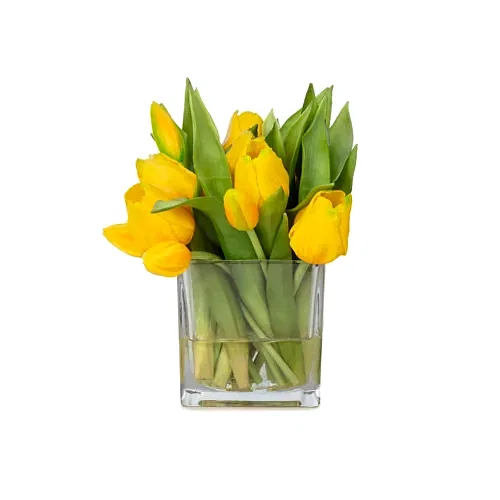 Küçük Boy Kare Cam Vazoda Islak Dokulu Jelli Sarı Lale Aranjman (20 CM)