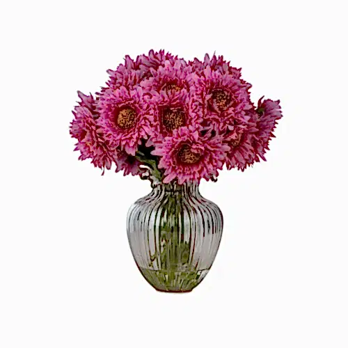 Cam Vazoda Islak Dokulu Jelli Pembe Papatya Aranjman (30 CM)