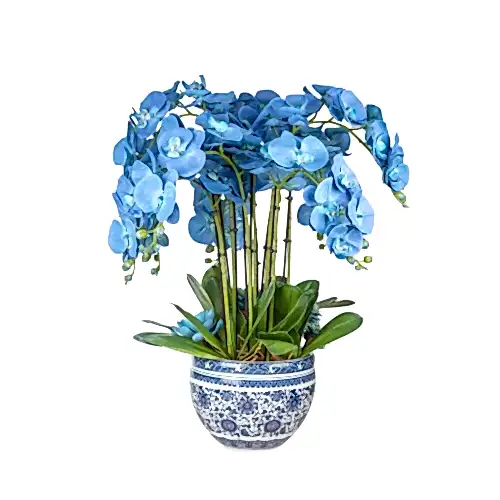 Bleu Blanc Vazoda Islak Dokulu Mavi Orkide Aranjman (70 CM)